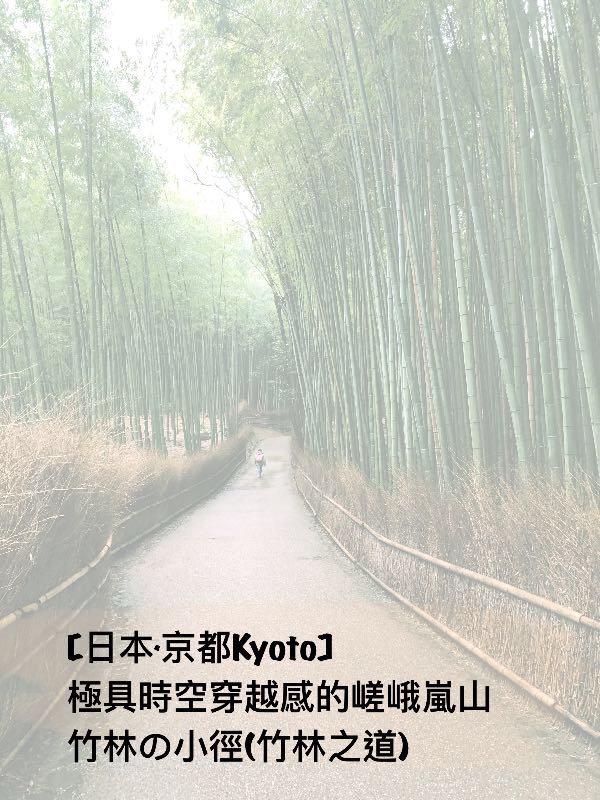 【日本．京都Kyoto】極具時空穿越感的嵯峨嵐山 竹林の小徑(竹林之道)